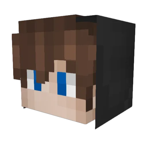 sm11 Minecraft avatar head, 3D render