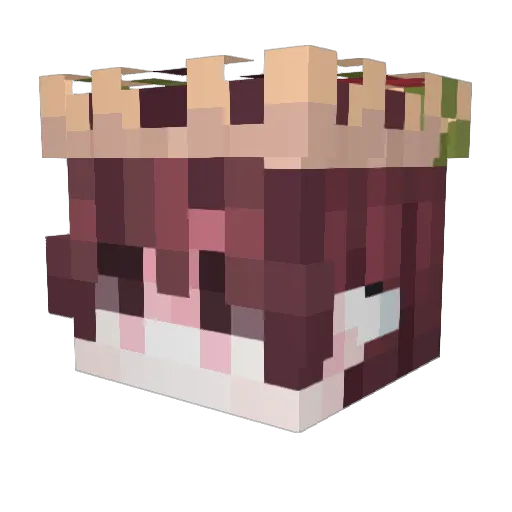 sm1k3y Minecraft avatar head, 3D render