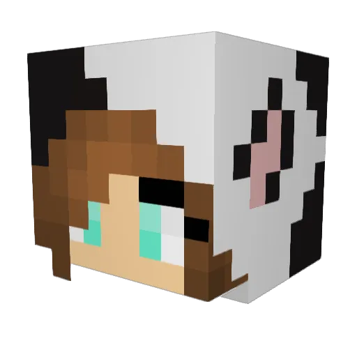 sm1l3y26 Minecraft avatar head, 3D render