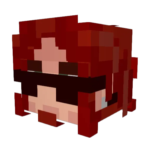 sm3llybuggutz Minecraft avatar head, 3D render