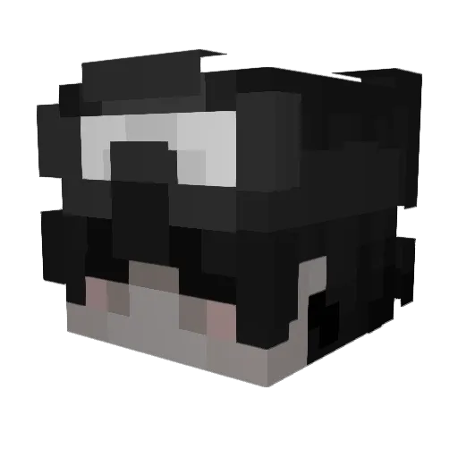 smI0ck Minecraft avatar head, 3D render
