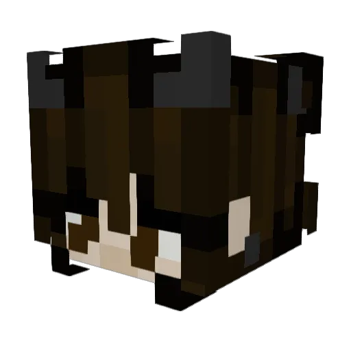 smallbookstore Minecraft avatar head, 3D render