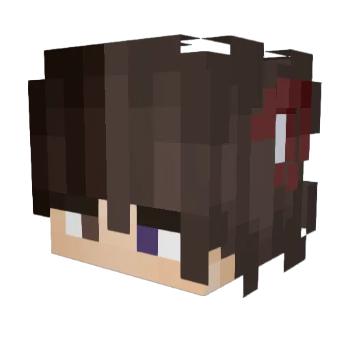 smallbugs_ Minecraft avatar head, 3D render