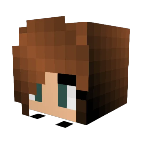 smalldickryan Minecraft avatar head, 3D render