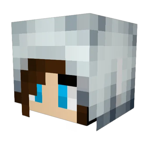 smallfat_ Minecraft avatar head, 3D render