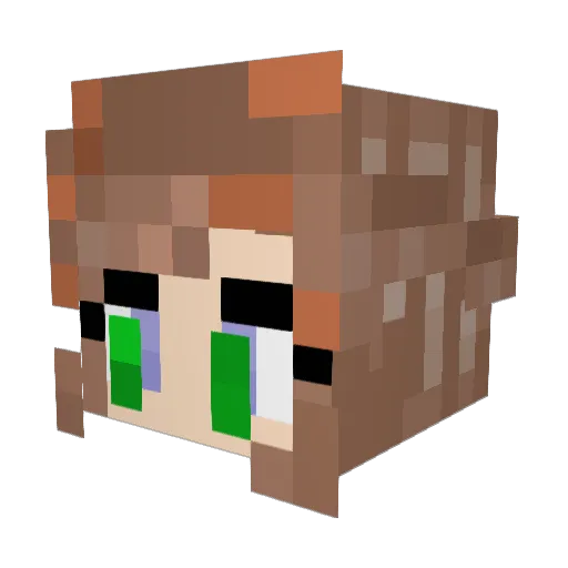 smallguy60 Minecraft avatar head, 3D render