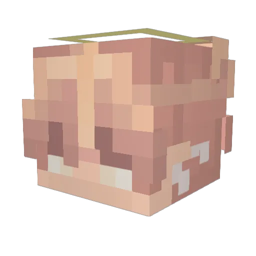 smalljay1101 Minecraft avatar head, 3D render
