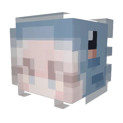 smallrice11 Minecraft avatar head, 3D render