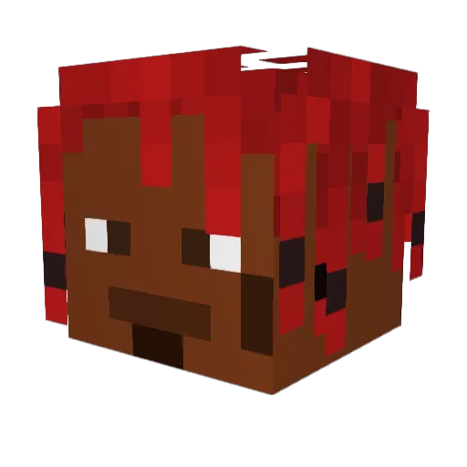 smallrobin14 Minecraft avatar head, 3D render