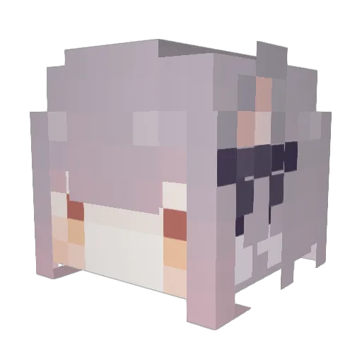 smallt030 Minecraft avatar head, 3D render