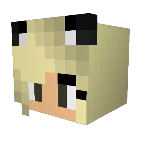 smallwould Minecraft avatar head, 3D render