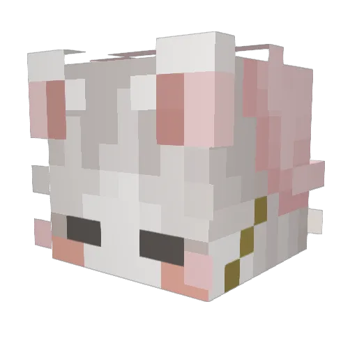 smardiot Minecraft avatar head, 3D render