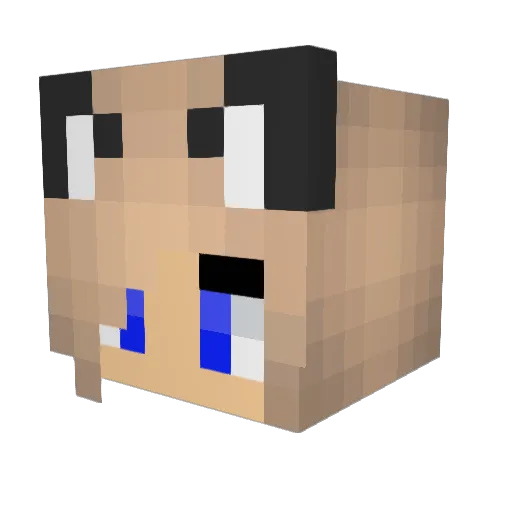 smart9812 Minecraft avatar head, 3D render