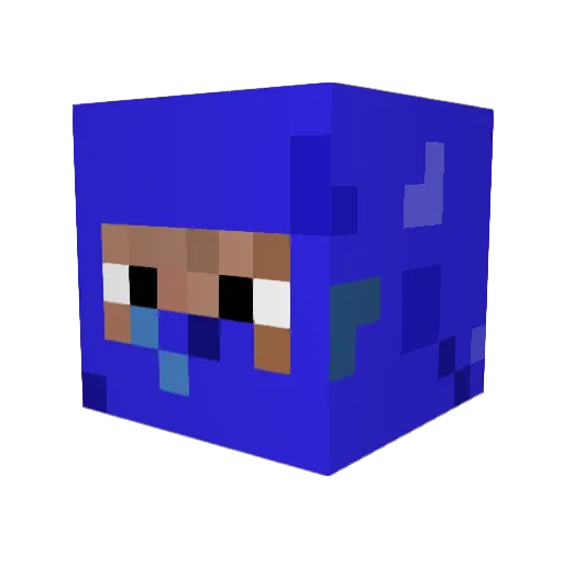 smartninja00 Minecraft avatar head, 3D render