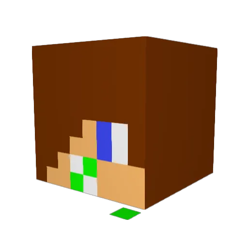 smashbadger07 Minecraft avatar head, 3D render