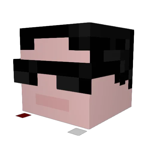 smatrix_ Minecraft avatar head, 3D render