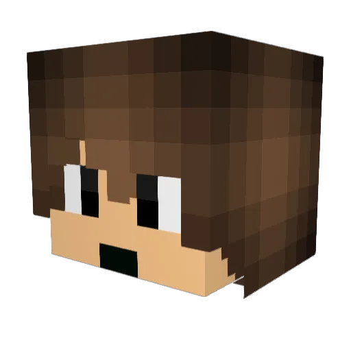 smb3 Minecraft avatar head, 3D render