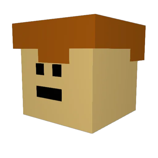 smde1234 Minecraft avatar head, 3D render