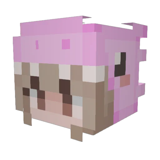 smeehhh Minecraft avatar head, 3D render