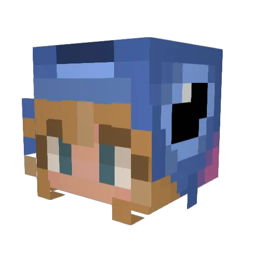 smellycat1111 Minecraft avatar head, 3D render