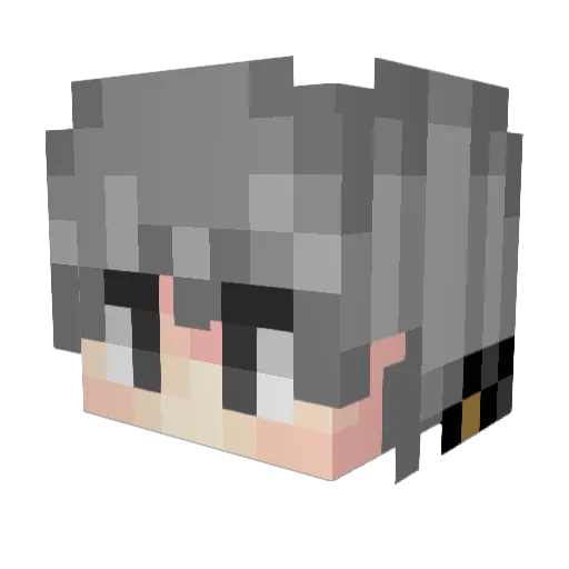 smellyfatguy35 Minecraft avatar head, 3D render