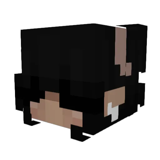 smellyhoe Minecraft avatar head, 3D render