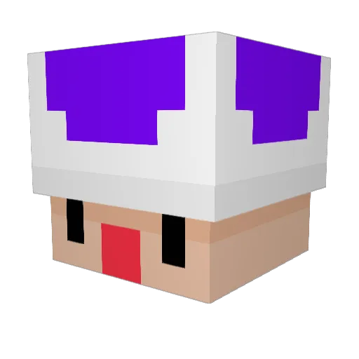 smellypoopants Minecraft avatar head, 3D render