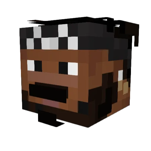 smellysocks100 Minecraft avatar head, 3D render