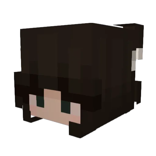 smeloises_ Minecraft avatar head, 3D render