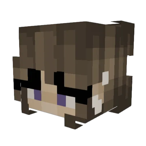 smexyshadow Minecraft avatar head, 3D render