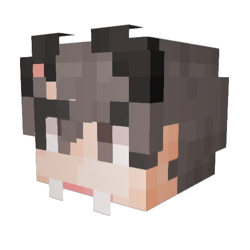 smh0322 Minecraft avatar head, 3D render