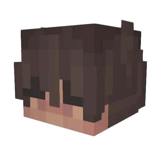 smhcoast Minecraft avatar head, 3D render
