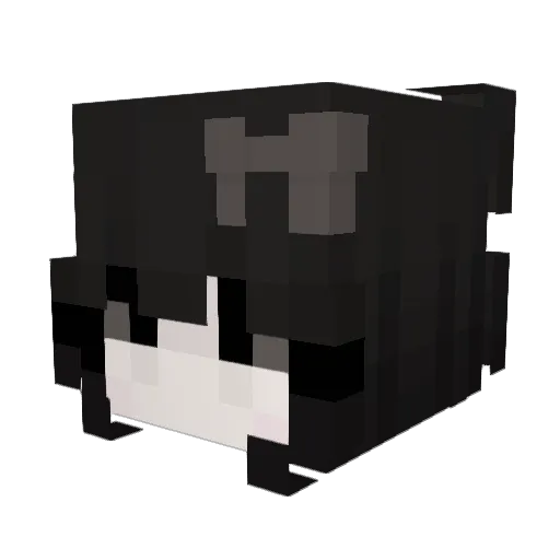 smierdziuch09 Minecraft avatar head, 3D render