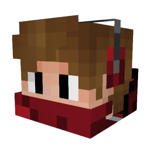smileforfood Minecraft avatar head, 3D render