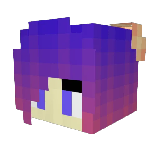 smileyface0124 Minecraft avatar head, 3D render