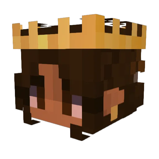 smilie92 Minecraft avatar head, 3D render