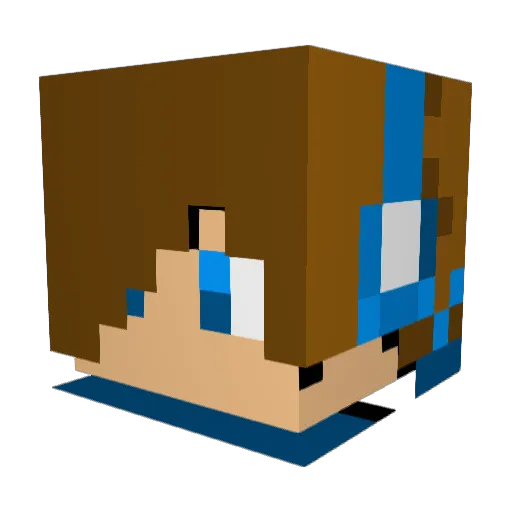 smixtyfarry Minecraft avatar head, 3D render