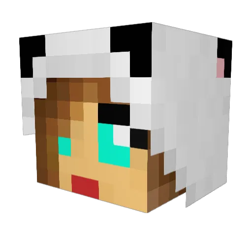 smizzle12 Minecraft avatar head, 3D render