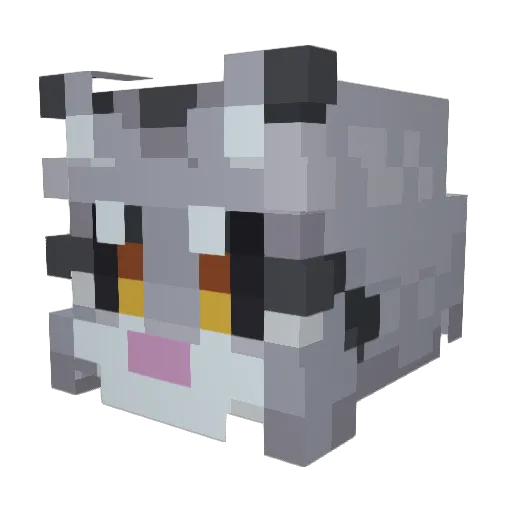 smmellystinky Minecraft avatar head, 3D render