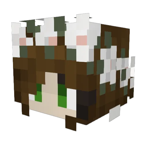 smoke259 Minecraft avatar head, 3D render