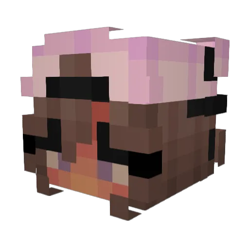 smoker200007 Minecraft avatar head, 3D render