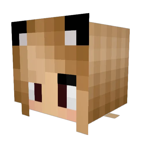 smokey1772002 Minecraft avatar head, 3D render