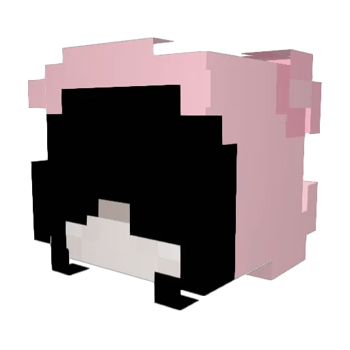 smoklnghotvlrgin Minecraft avatar head, 3D render