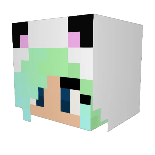 smoky135 Minecraft avatar head, 3D render