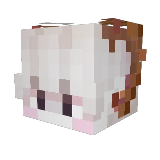smol_person Minecraft avatar head, 3D render