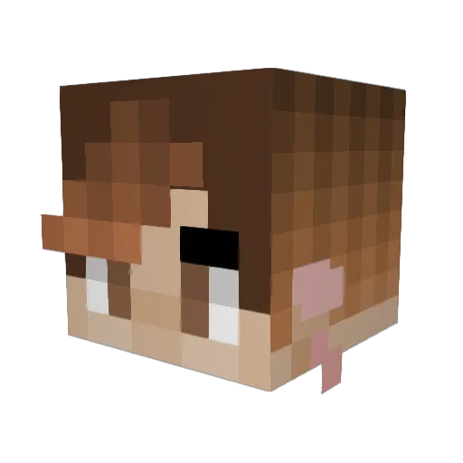 smolfeesh Minecraft avatar head, 3D render