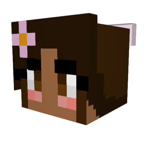 smoll_poki Minecraft avatar head, 3D render