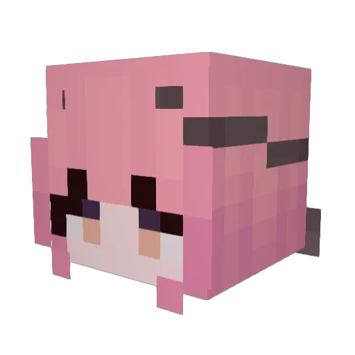 smolspoopy Minecraft avatar head, 3D render