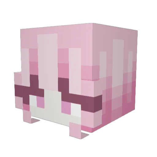 smool_duck Minecraft avatar head, 3D render