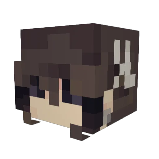 Minecraft-Avatar von smoolh: Kopf als 3D-Render